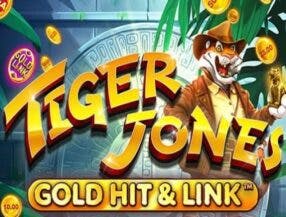tiger fortune bet